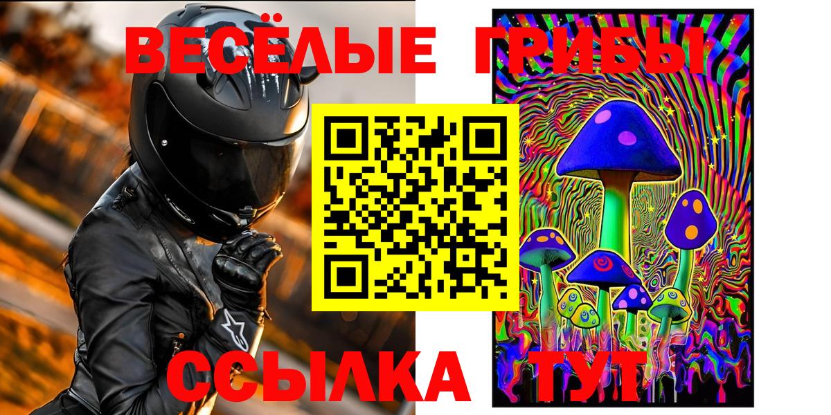 Галлюциногенные грибы MAGIC MUSHROOMS  Вход с VPN  Великий Новгород 
