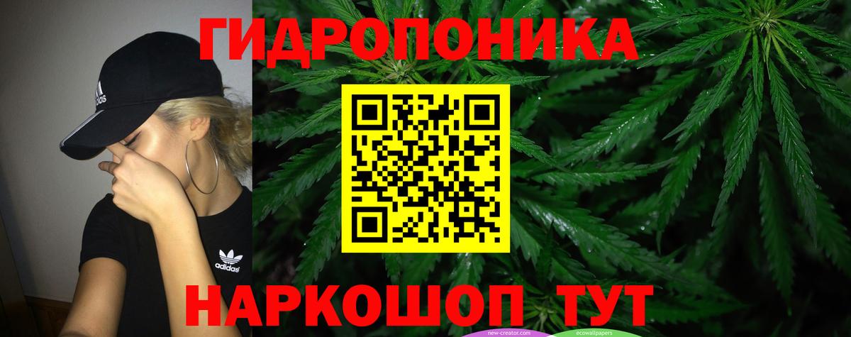 Конопля Bruce Banner  Канабис SATIVA & INDICA  Каннабис тримм  Шишки марихуана White Widow  Великий Новгород  Вход с VPN 